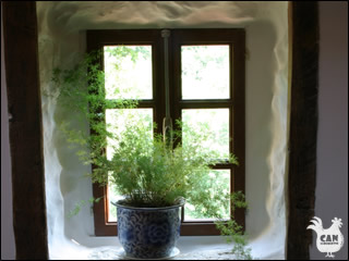 a window