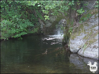 the river