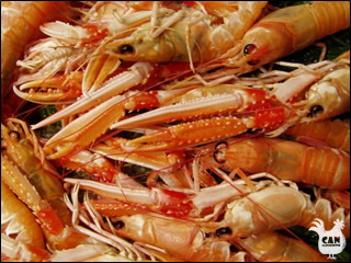 fresh seafood from the Med