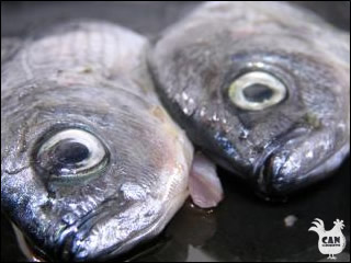 fresh fish from the cote vermillion