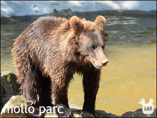 mollo parc