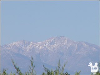 Canigou from the plains of Roussillon